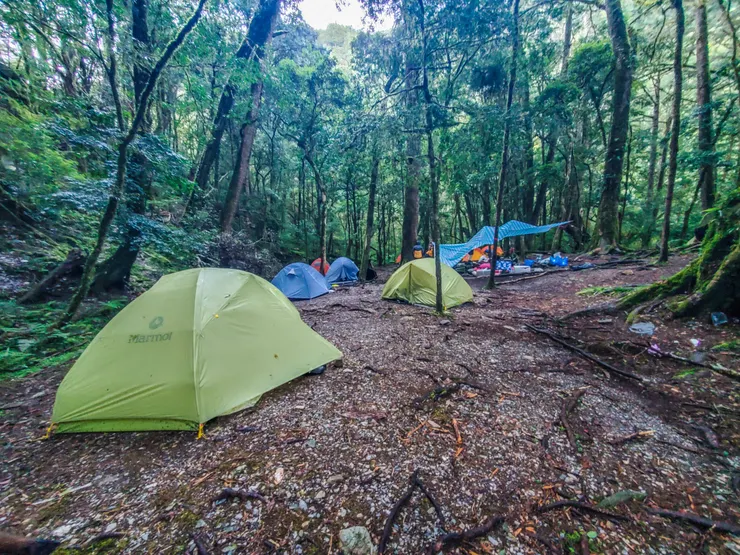 新武呂溪營地在樹林裡，腹地不小，有水源，是適合紮營的地點。