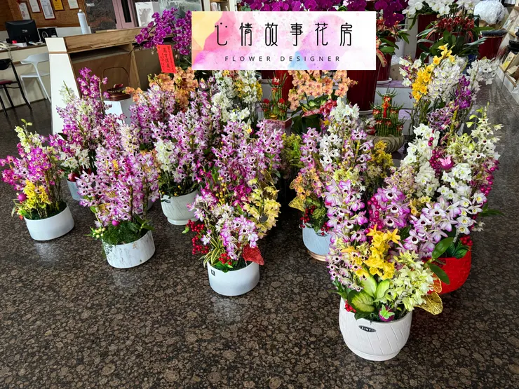 春天最美的賞花選擇——春石斛組合盆栽，為您的生活增添優雅氣息！ 台南心情故事花房