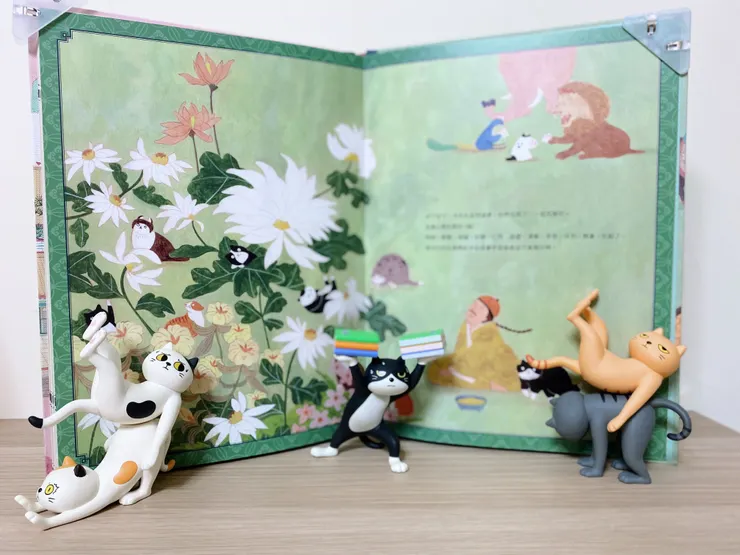 對焦全在貓身上🐱