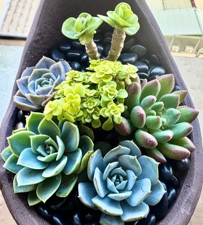 Eason Cheng的沙龍