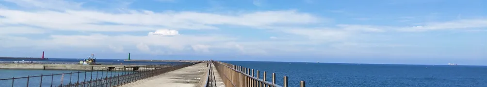 白色留聲機 的沙龍