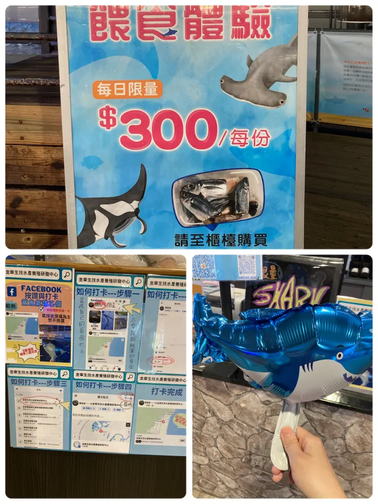打卡還會送可愛鯊魚氣球喔！