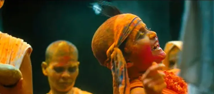 印度慶典經常使用萬壽菊來妝點或做染料 (圖片取自電影禍水Water)