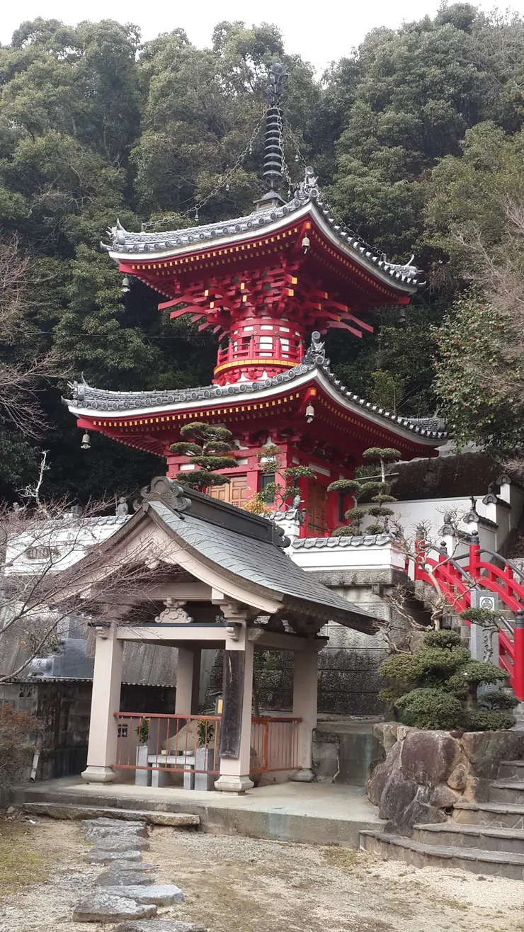 那時候還沒有好好拍照