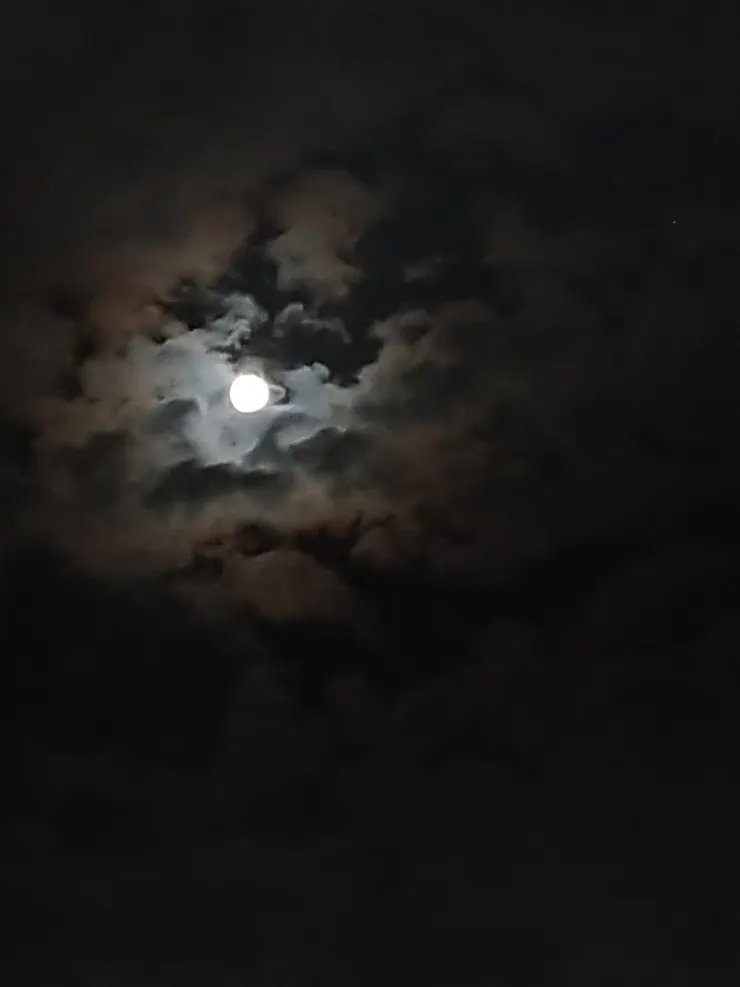 photographer by Hsun