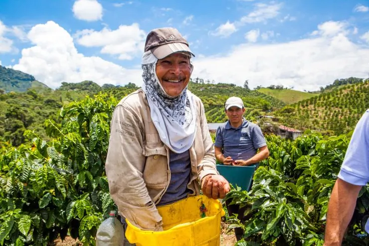 咖啡產地與處理技術，大大影響風味及價格