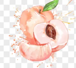 第一次餵給小金吃的水果