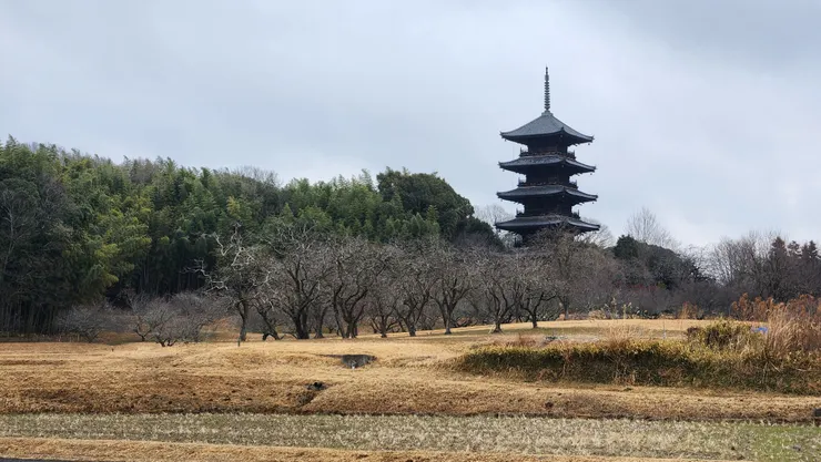 春天、夏天分別都有盛開的櫻花和向日葵等,也是明信片經常出現的場景