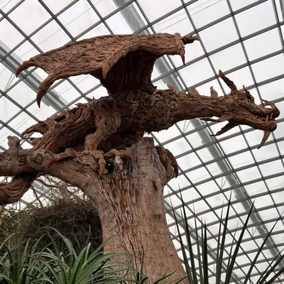 墨狼隨筆的沙龍