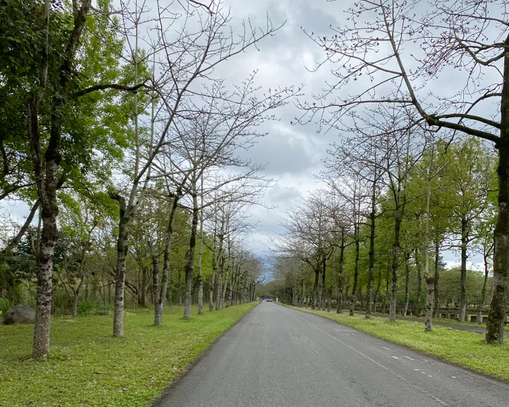 拍攝於2021年2月28日，花蓮 兆豐農場