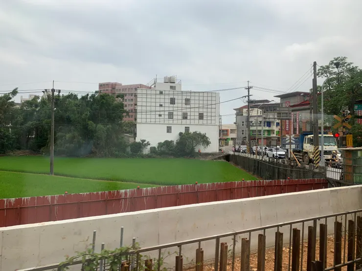 心心:原來世界可以平靜的那麼美~