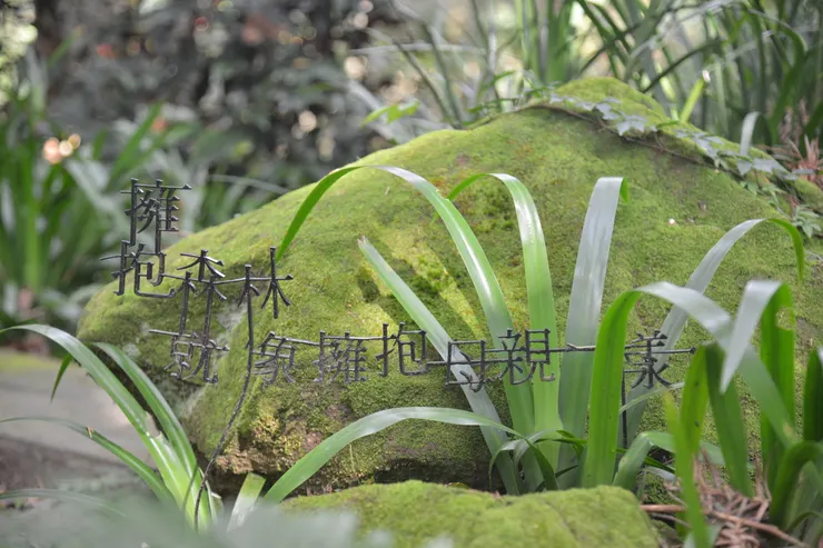隱身林間角落的一行字：「擁抱森林，就像擁抱母親」。