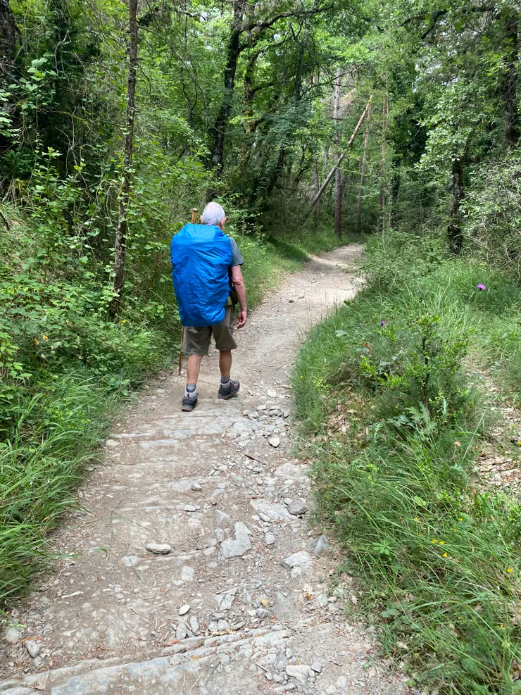 厲害的老人家，這是他的第七八次Camino