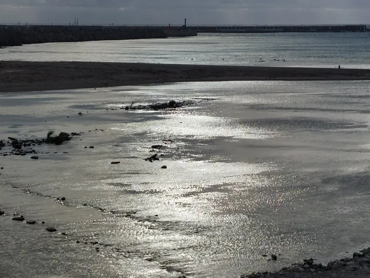 曙光橋上風景 / 資料來源:我自己