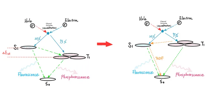 圖五、Thermally Activated Delayed Fluorescence (TADF)。