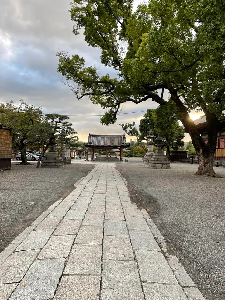 屬於寧靜與祥和的早晨東寺。