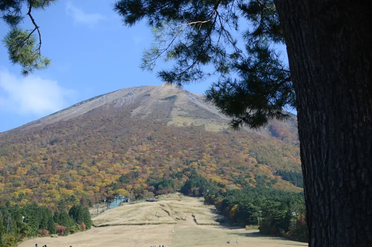 桝水高原這一側看的大山長這樣