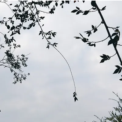 其實還喜歡攝影