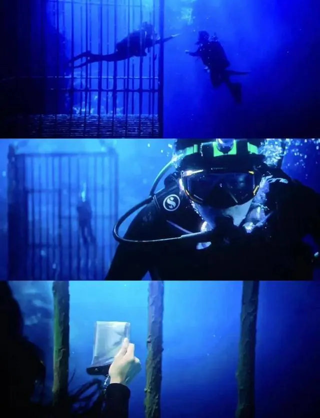 太遠太黑了，看不見的啦