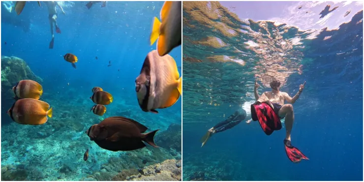 Mei Chen提供：藍夢島浮潛