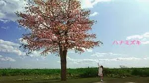 〈電影剛開始演出的劇情畫面截圖〉