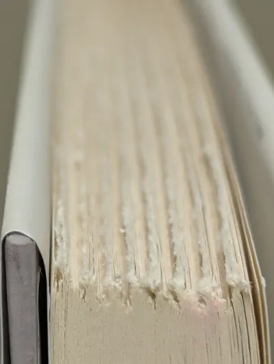 退書與不退之間