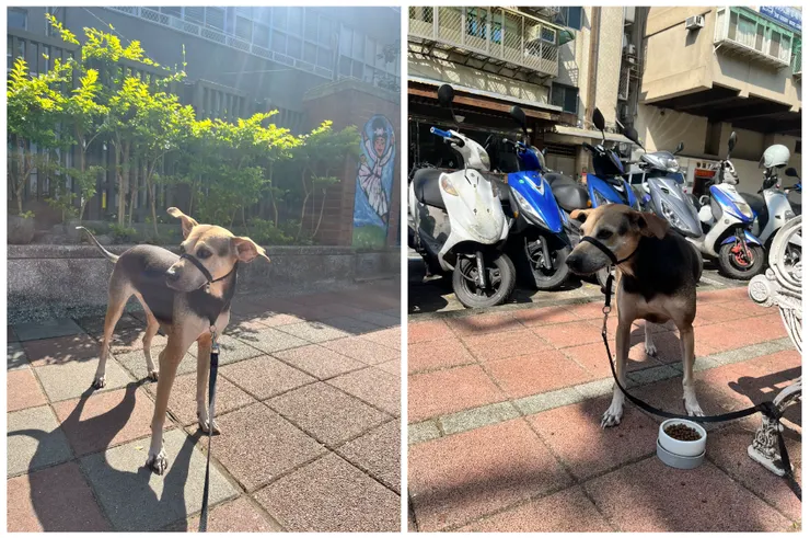 天氣超好出門吃飯