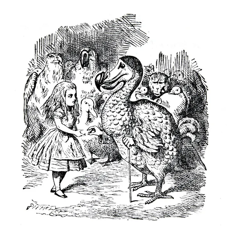 設計黨團競走的渡渡鳥