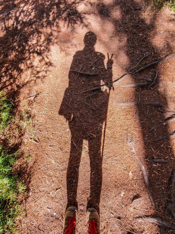 隊友們在前後不遠處，一個人在森林裡邊走邊拍照，偶而抬頭看看天空和地上的自己！