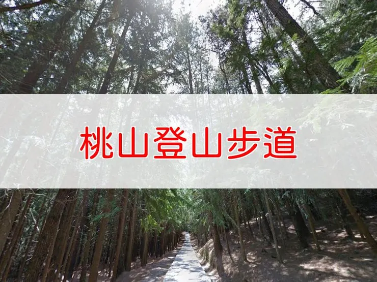 【新竹】桃山登山步道 | 全長里程:單程7.9公里 | 難易度:中