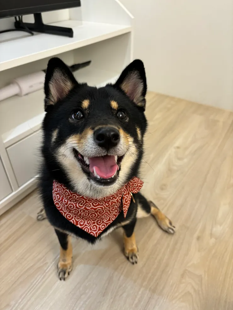 媽媽說我皮還是會很愛我喔！