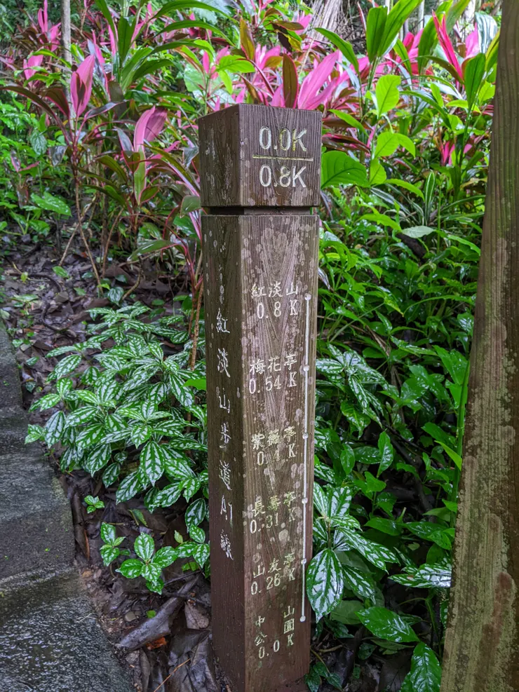 800公尺就會登頂囉！