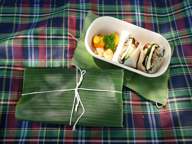 午餐的素食餐盒