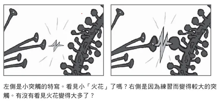 photo by 《學習如何學習》