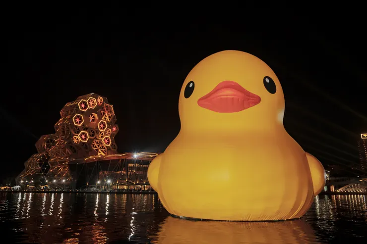 黃色小鴨