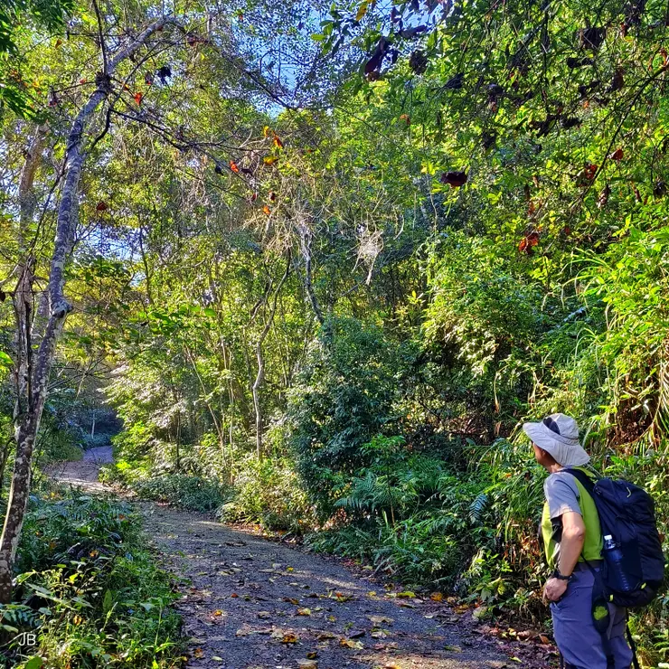 【林間幽徑不往孤寂通向歡聲笑語】