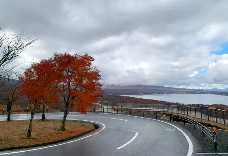 PH 攝於山中湖明神山パノラマ台,2024 / 11 / 21。