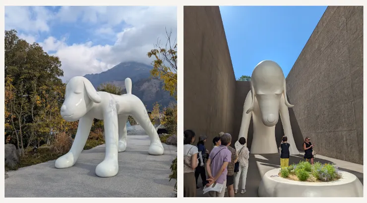 左邊是由布院Your Dog / 右邊是青森犬