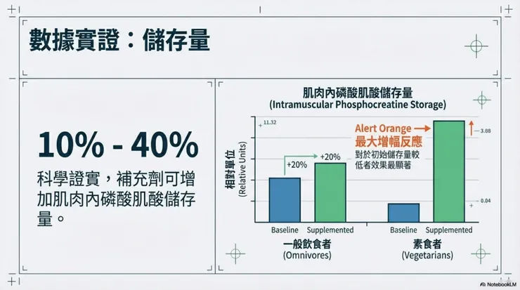 肌肉儲量提升幅度