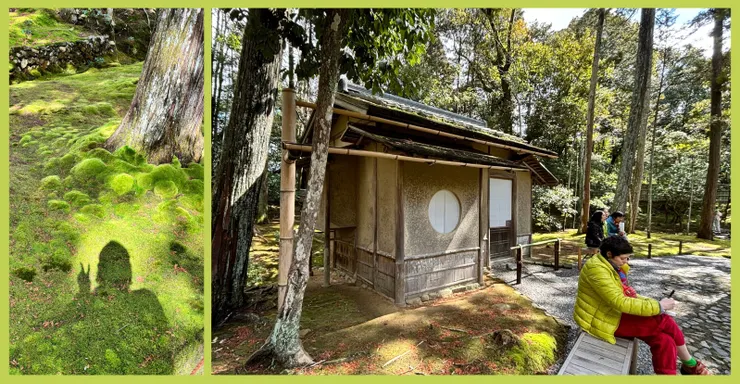 潭北亭|我坐在畫畫的女士旁邊,寫著倒數幾首小詩|2024.03.01拍攝