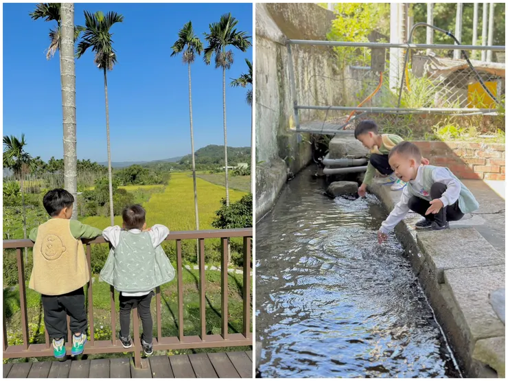 看台下方還有一個洗衫坑可以玩水