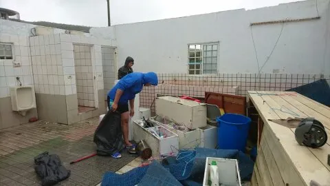 上方已成敞篷了