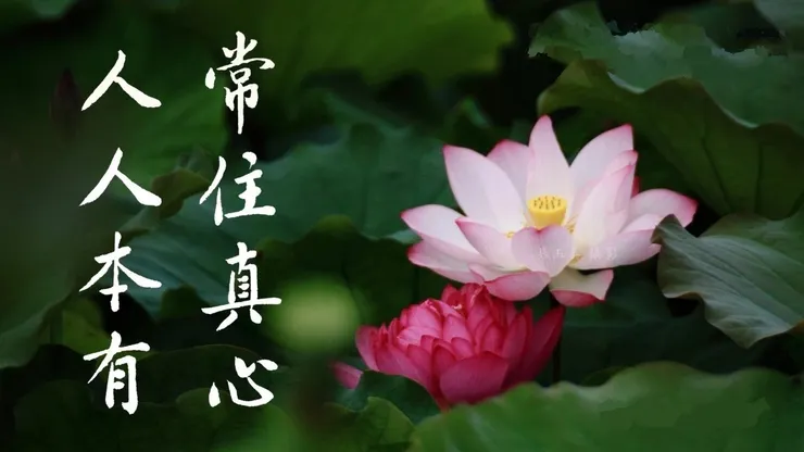 一向專念 阿彌陀佛 求生淨土