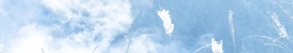 葵希意識流的沙龍