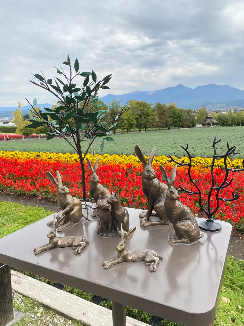 咪兔Life創作．旅行．療癒日常