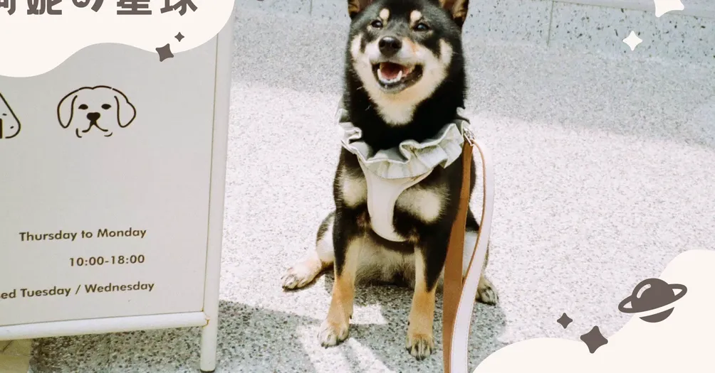 阿妮的星球｜寵物友善旅遊頻道