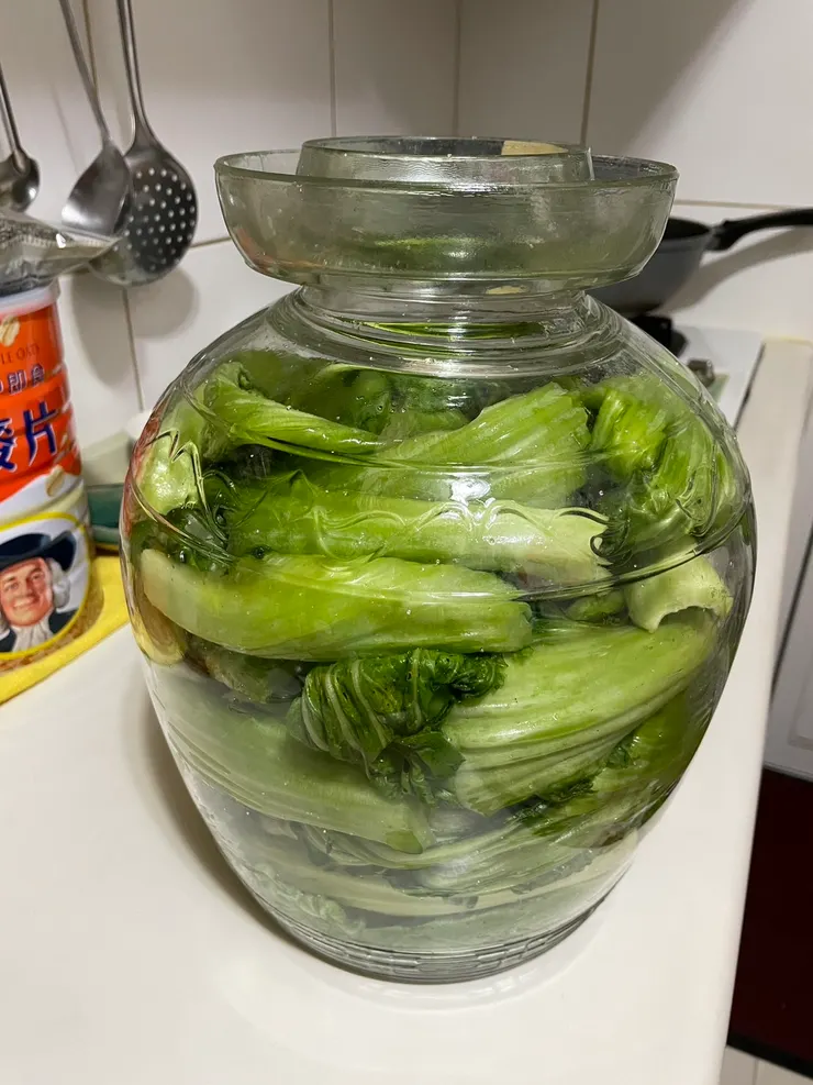 將曬軟的芥菜放入甕中，放適量的食鹽