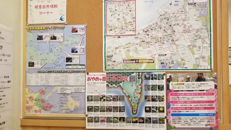 酒店的情報版讓觀鳥資訊一目瞭然