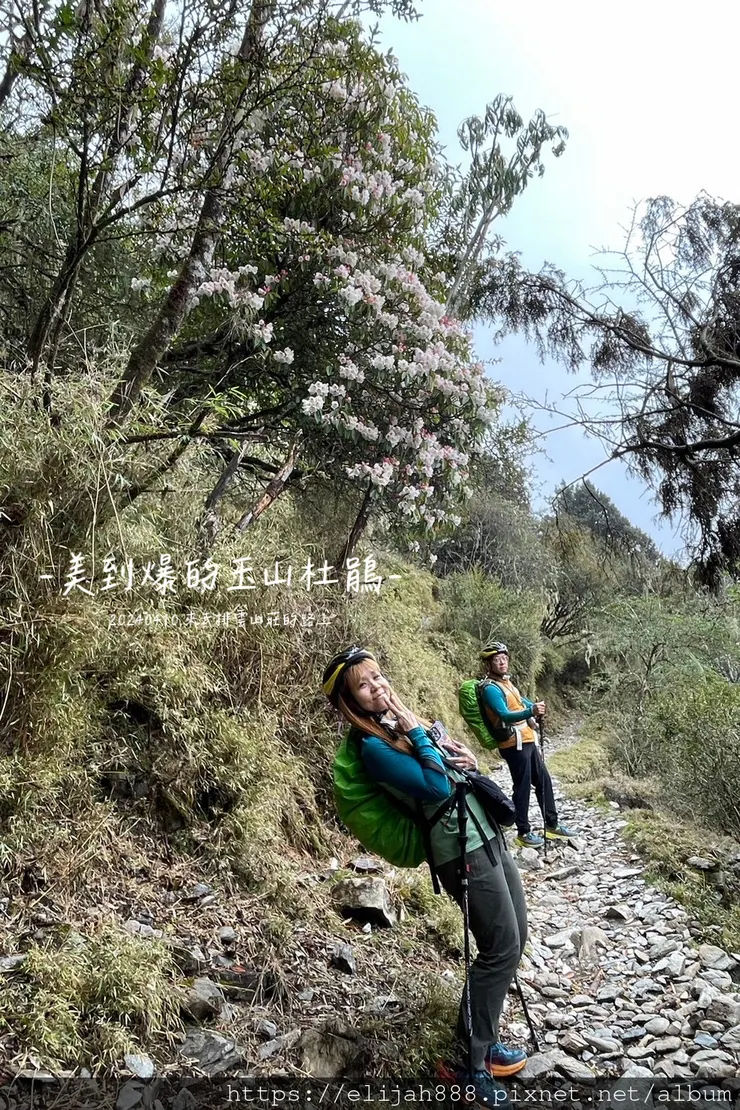 【玉山主峰西峰.兩天兩夜】冷到爆炸的玉山主峰賞雲海/一直走花