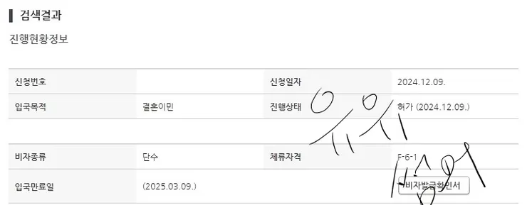 簽證檢查結果-許可